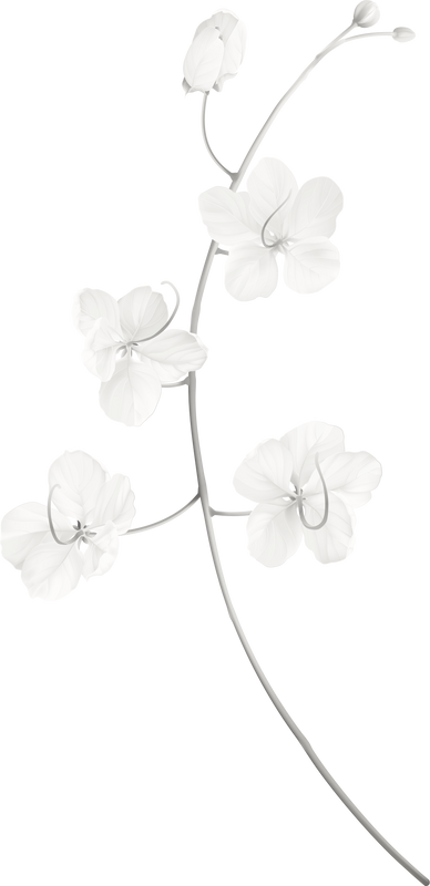 Black and white Golden  flowers illustration