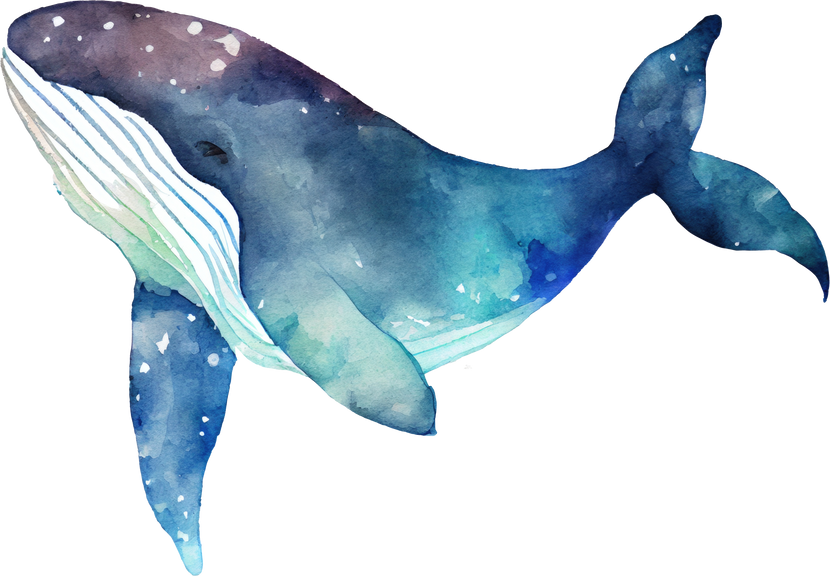 Whale Watercolor Illustration