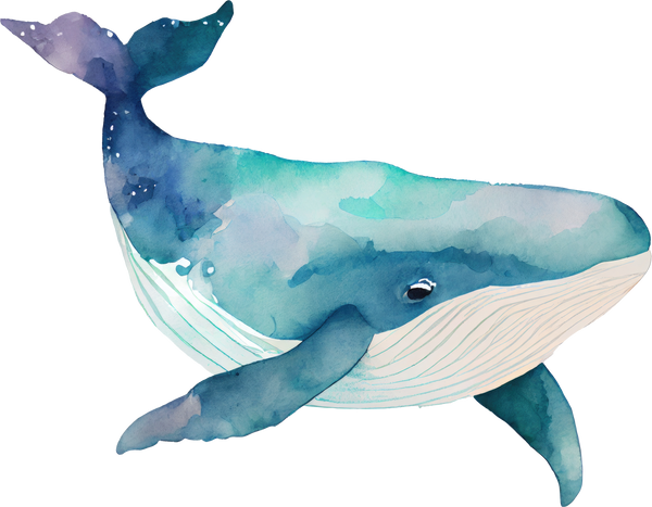 Whale Watercolor Illustration